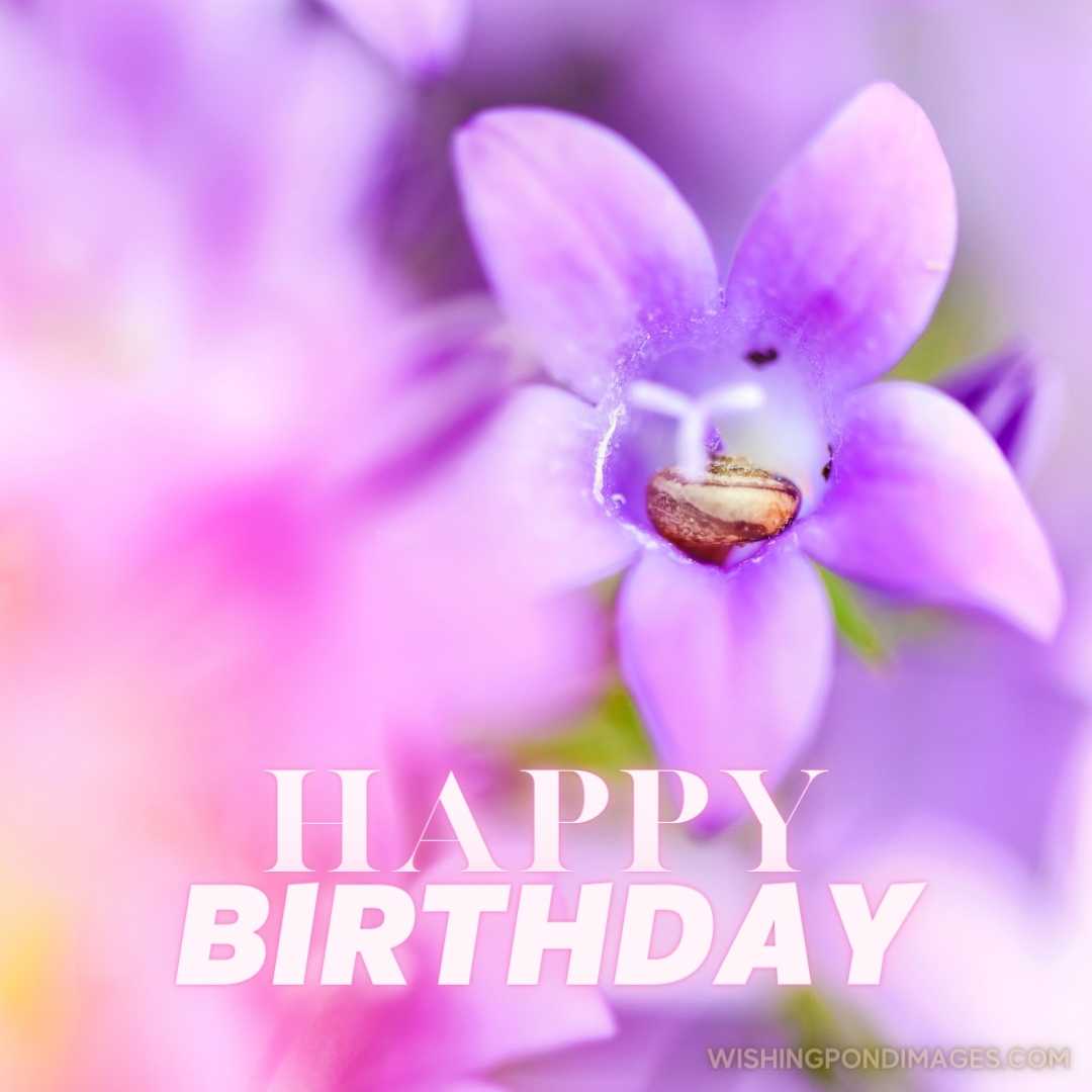 Beautiful purple flower. Happy Birthday Purple Flower Images
